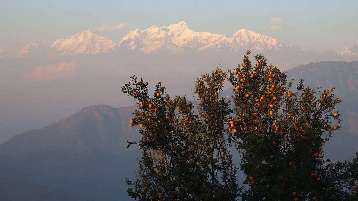 पर्यटकीय गन्तव्य बन्दै  पामडाँडा